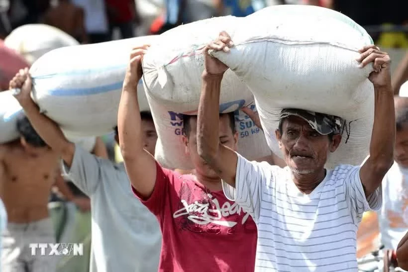 Philippines posts record rice imports in first half of 2026