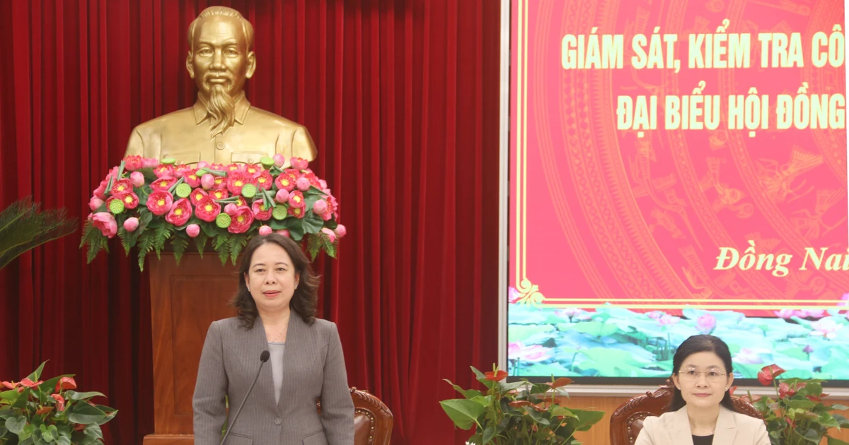 Vice State President inspects election preparations in Dong Nai