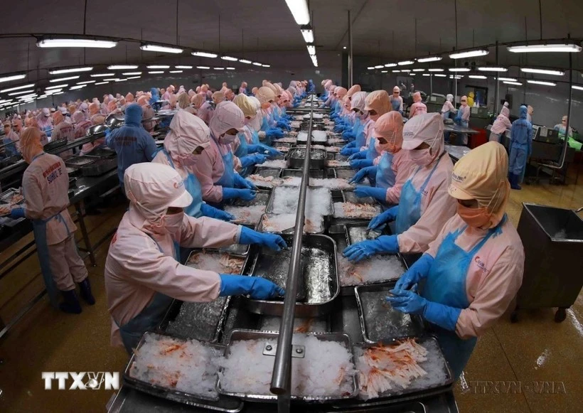 Vietnam remains Singapore’s third-largest seafood supplier in 2025