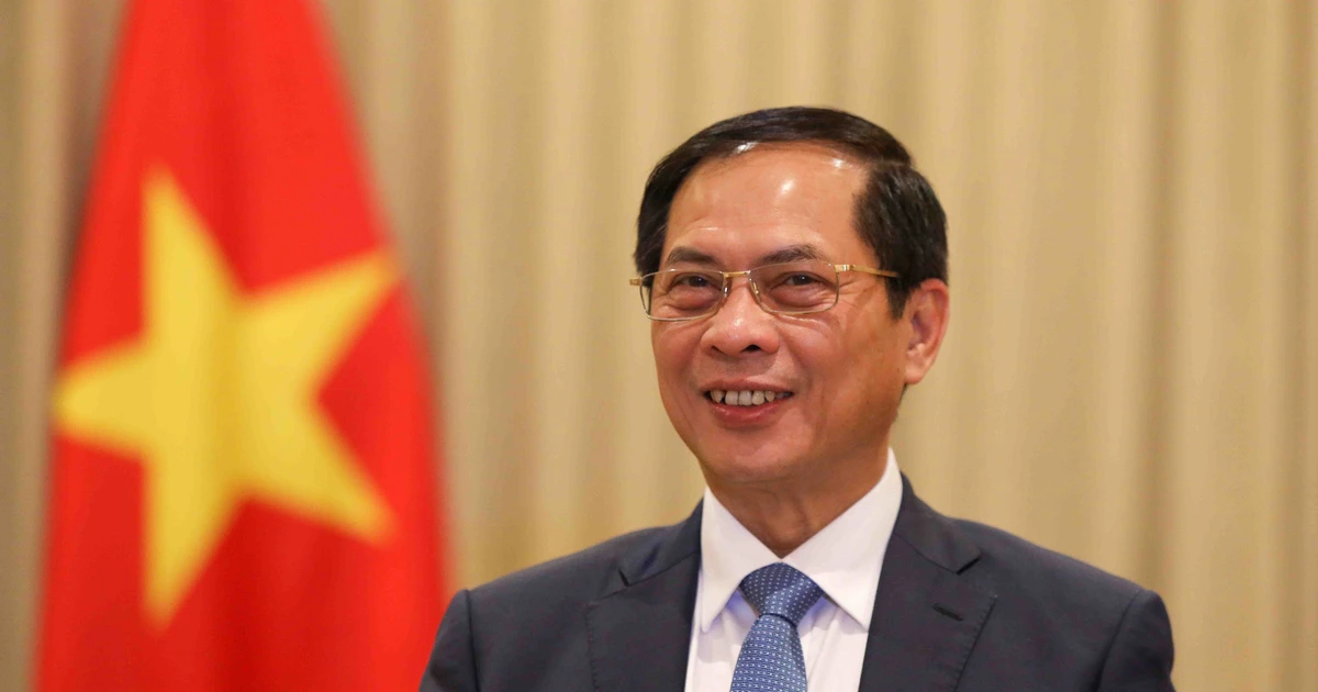 Deputy Prime Minister and Foreign Minister Bui Thanh Son (Photo: VNA)