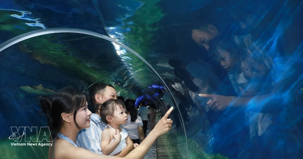 Khanh Hoa develops tourism products rooted in local culture, family experiences