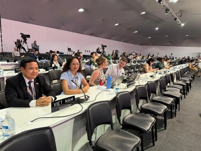 Vietnamese Ambassador to Brazil Bui Van Nghi and representatives from the Youth Climate Action Network of Vietnam participate in an event on the COP30 sidelines. (Photo: VNA)