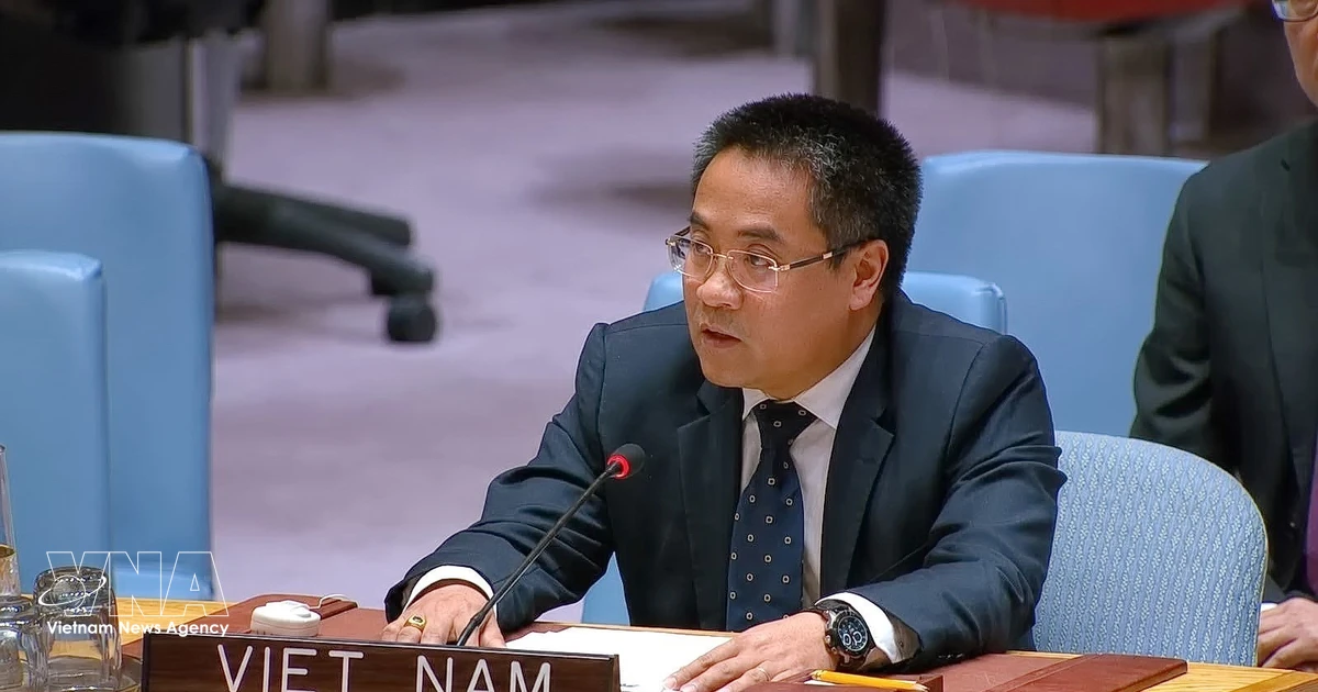 Vietnam reaffirms support for Palestinian people at UN Security Council debate