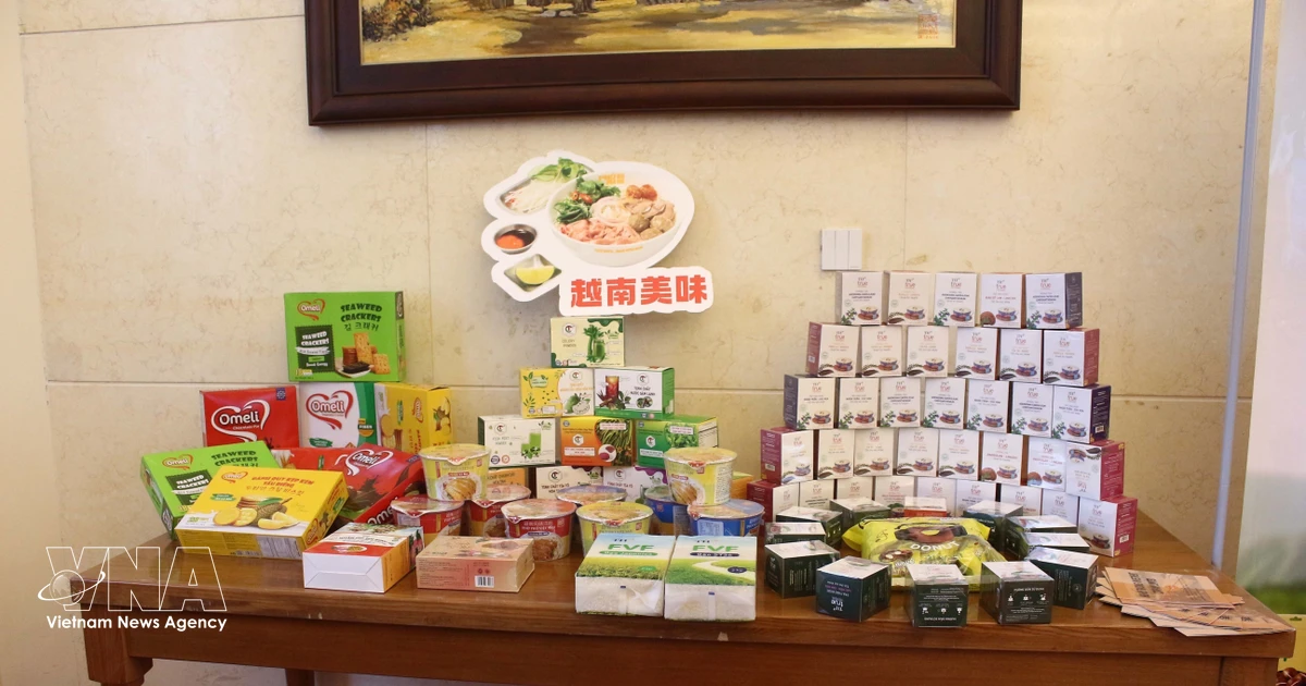 Vietnam promotes VIS 2026 to Chinese businesses to deepen supply chain cooperation