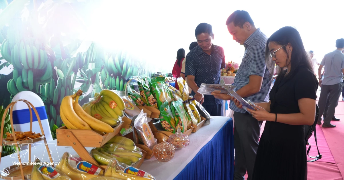 Agricultural product exports continue to generate strong trade surplus