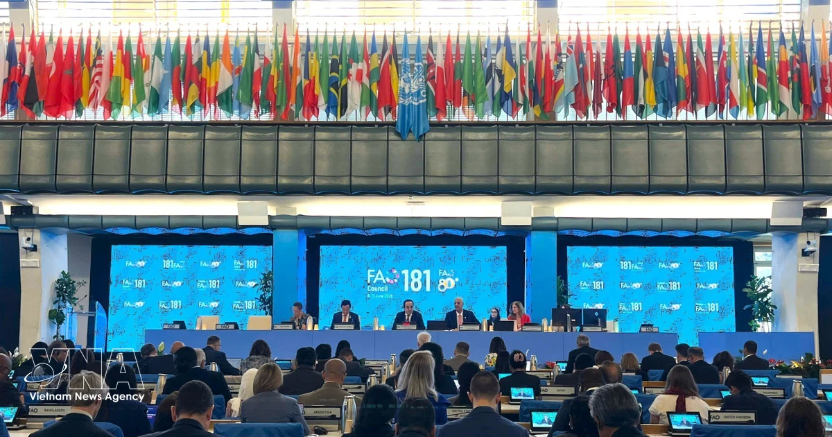 Vietnam a model for effective South-South cooperation: FAO