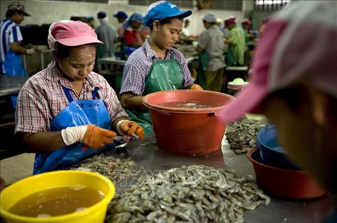 Thai authorities crack down on nominee firms, illegal foreign workers