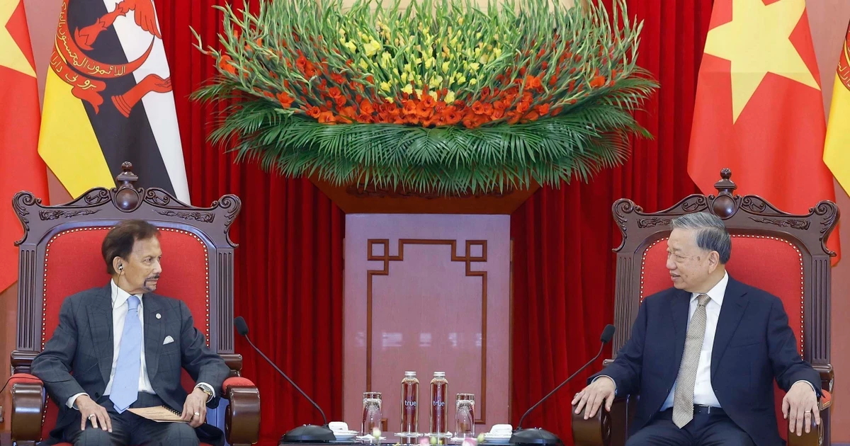 Sultan of Brunei's visit to advance comprehensive partnership with Vietnam: Party chief