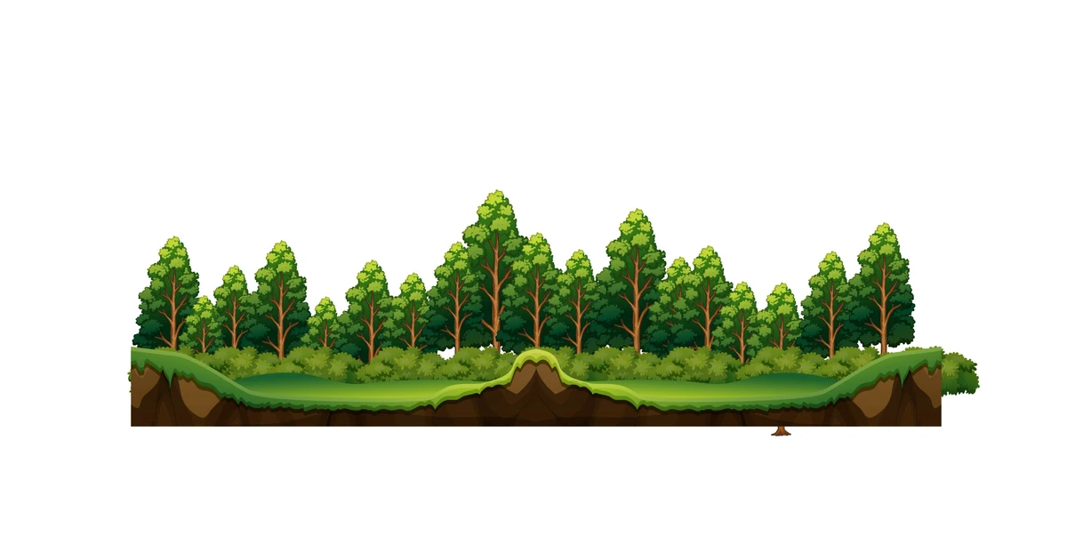 Vietnam forest coverage exceeds 14.97 million hectares in 2025