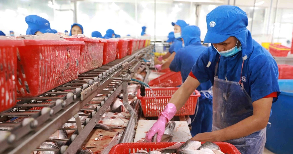 Dong Thap province to host first-ever tra fish festival | Vietnam+ ...