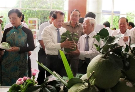 HCM City to enhance new-style rural area criteria quality