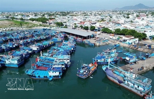 ASEAN, Norway promote cooperation in sustainable blue economy development