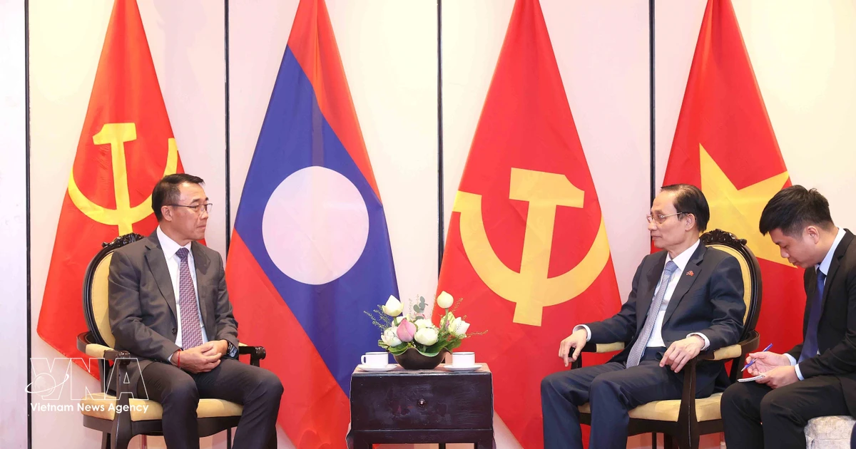 Vietnam, Laos pledge close coordination to effectively implement high-level agreements