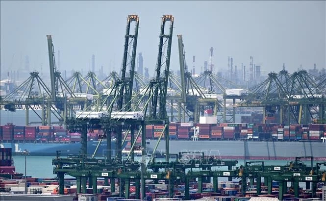 Cargo handling at Pasir Panjang Port in Singapore. (Photo: AFP/VNA)