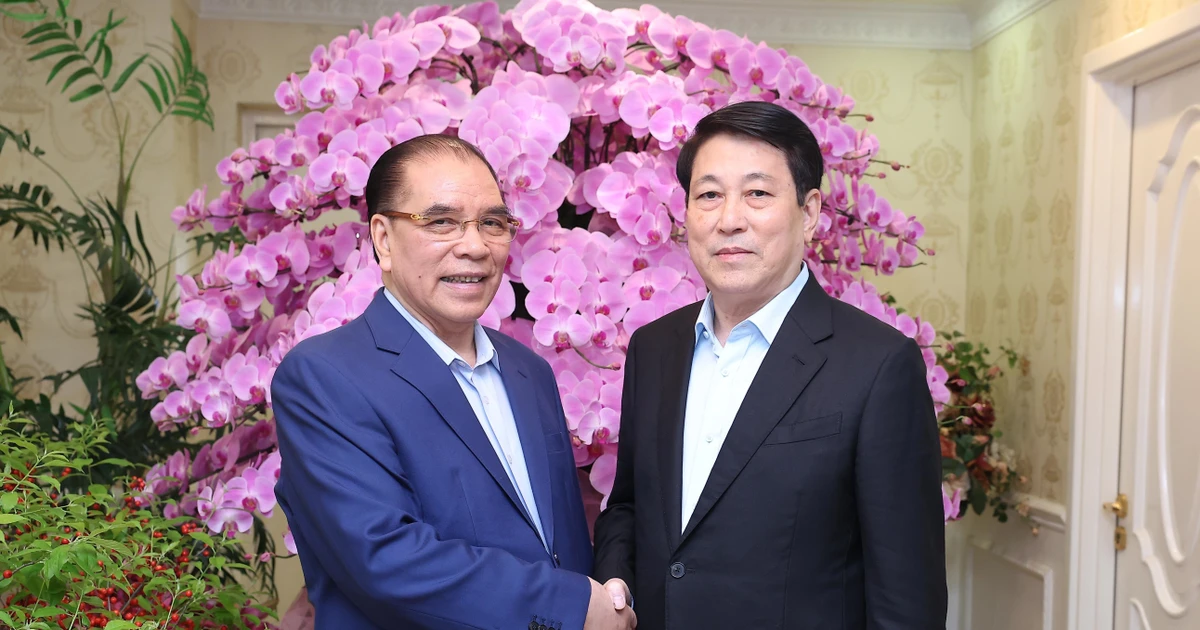 State President extends Lunar New Year greetings to former Party leader