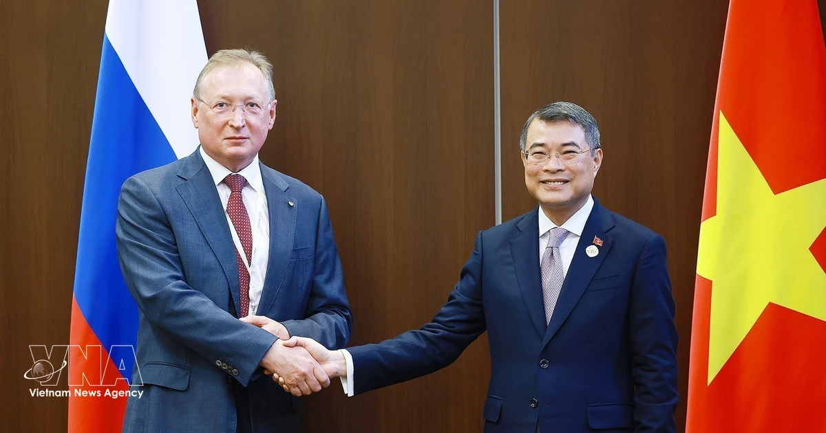 Prime Minister Le Minh Hung receives Russian energy leaders to advance bilateral cooperation