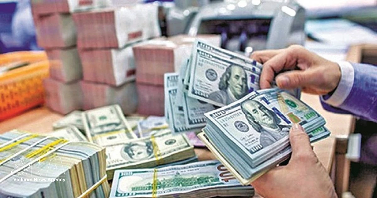 Ho Chi Minh City expects remittance inflows to grow in 2026