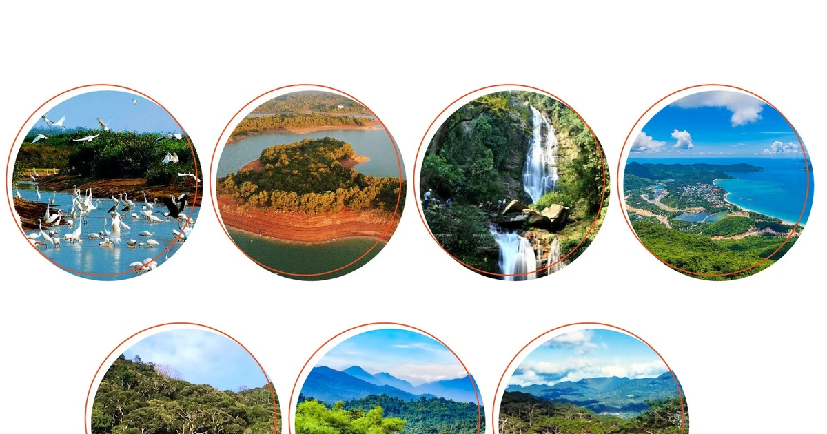 Image from en.vietnamplus.vn
