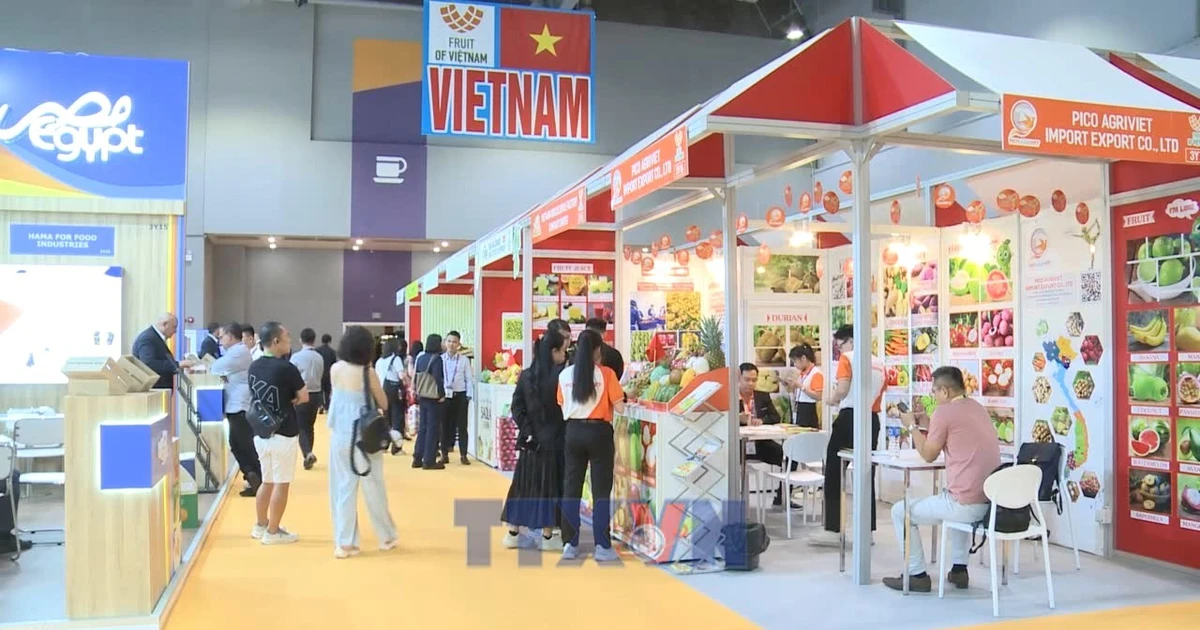 Spring Fair 2026: Hong Kong experience offers insights for Vietnam–Hong Kong trade cooperation