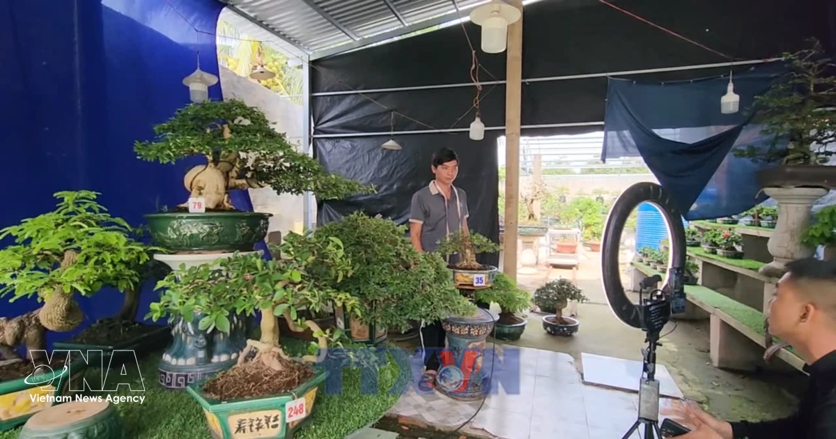 E-commerce drives agricultural expansion in Vinh Long