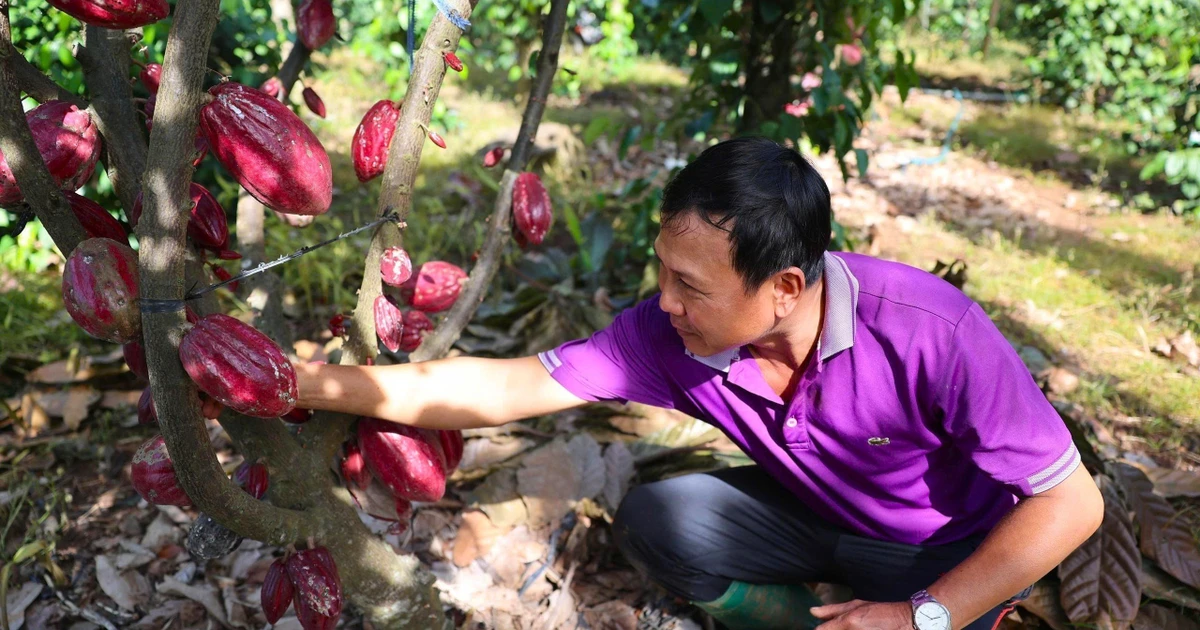 Agriculture targets 74 billion USD in exports in 2026