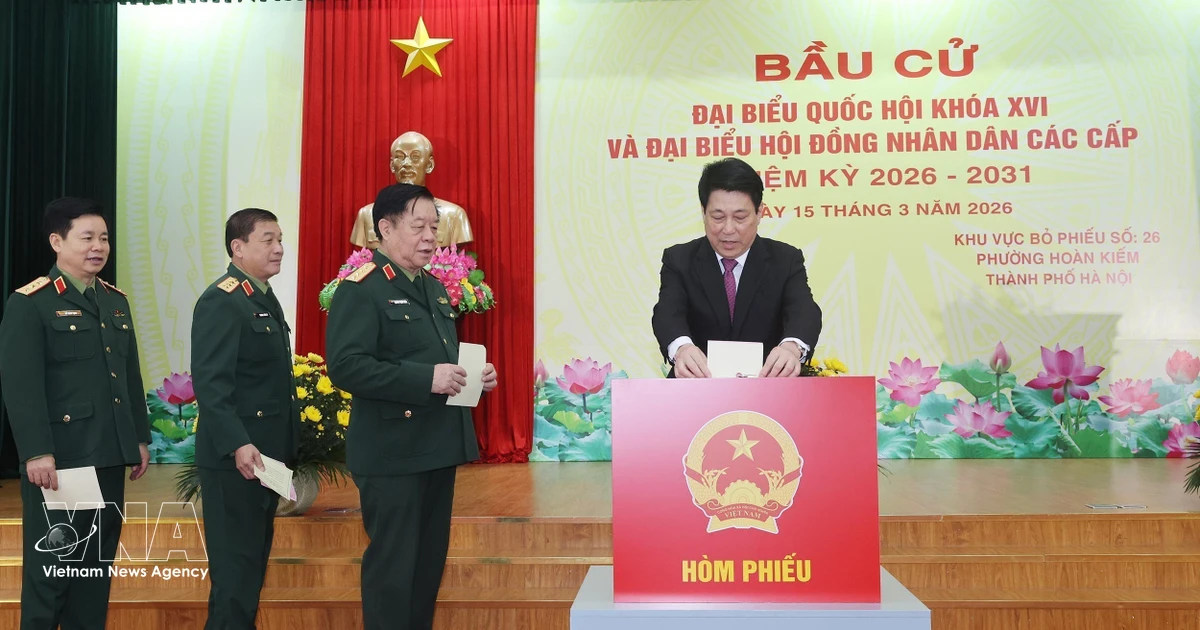 President Luong Cuong casts ballot in Hanoi’s Hoan Kien ward