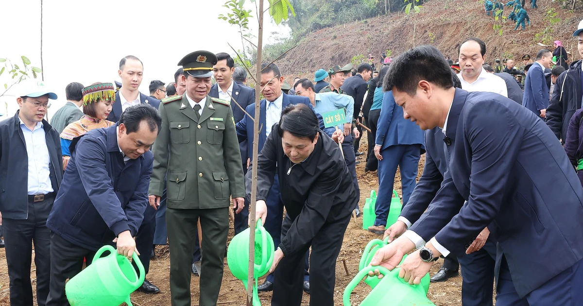 State President attends tree-planting festival launch in Lao Cai