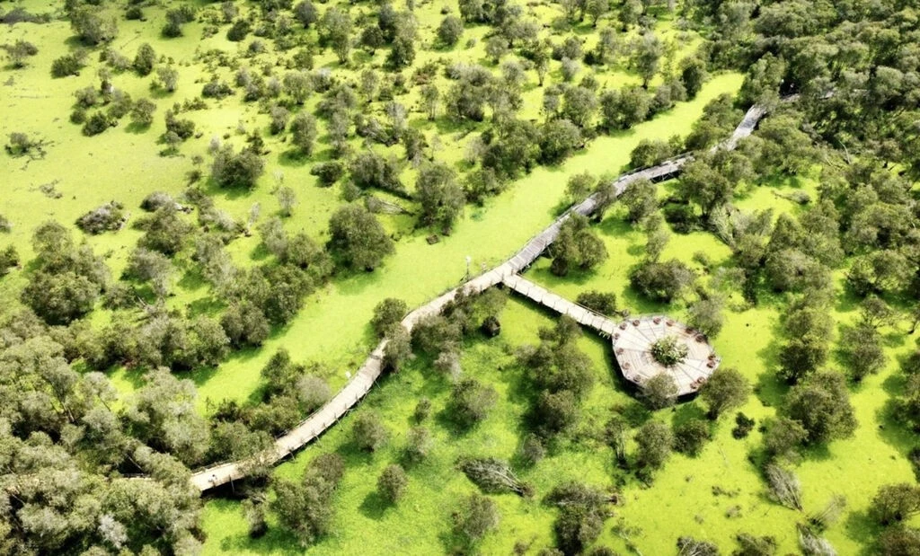 An Giang becomes globally competitive tourism hotspot