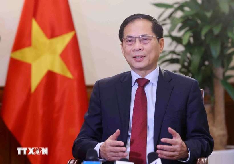 Deputy Prime Minister Bui Thanh Son (Photo: VNA)