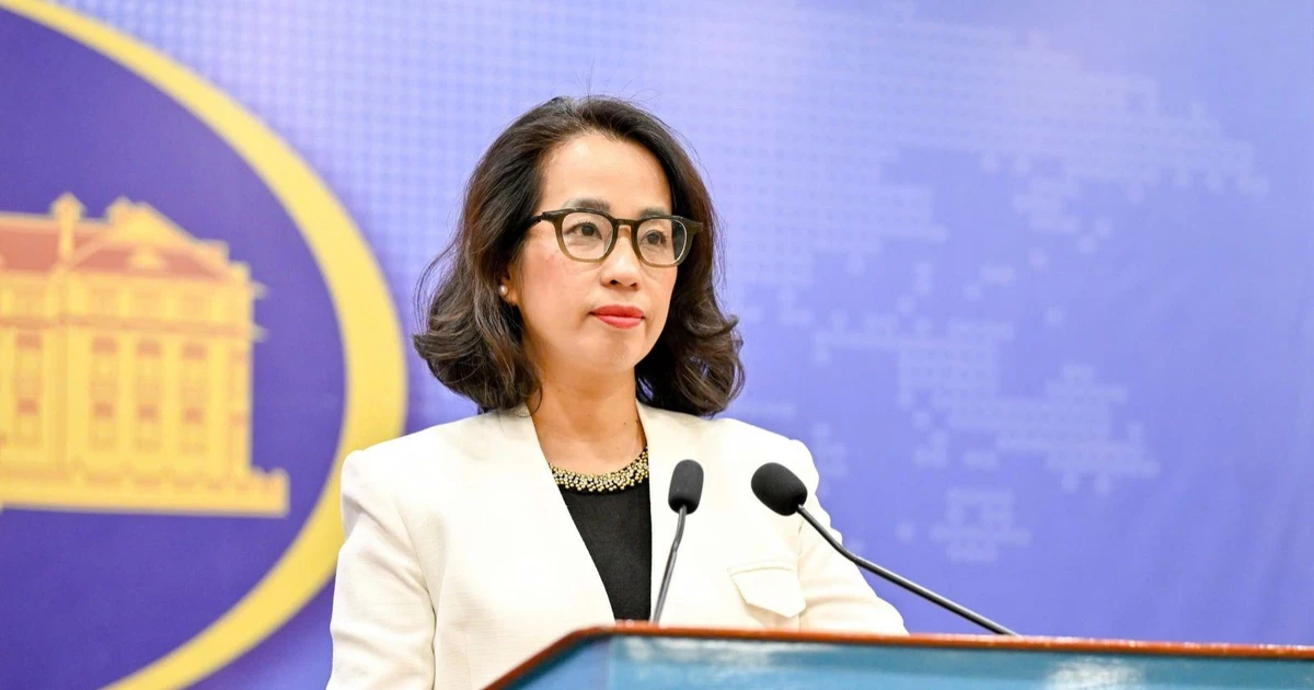 Vietnam calls on parties concerned to fully implement DOC in East Sea