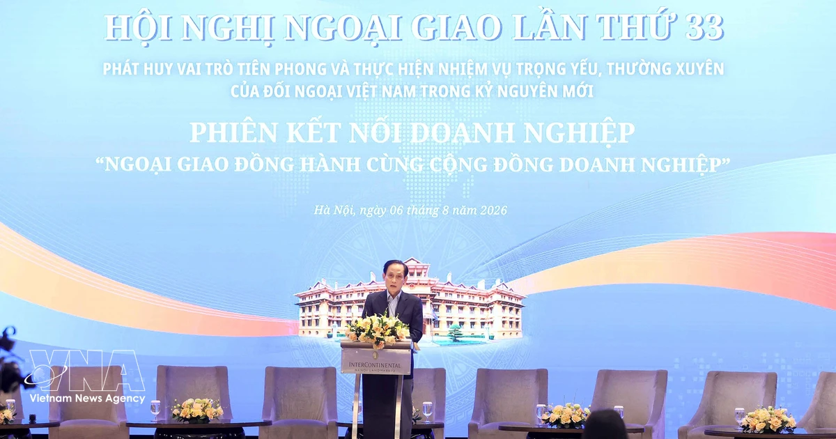 Diplomacy to accompany businesses in expanding Vietnam's development space