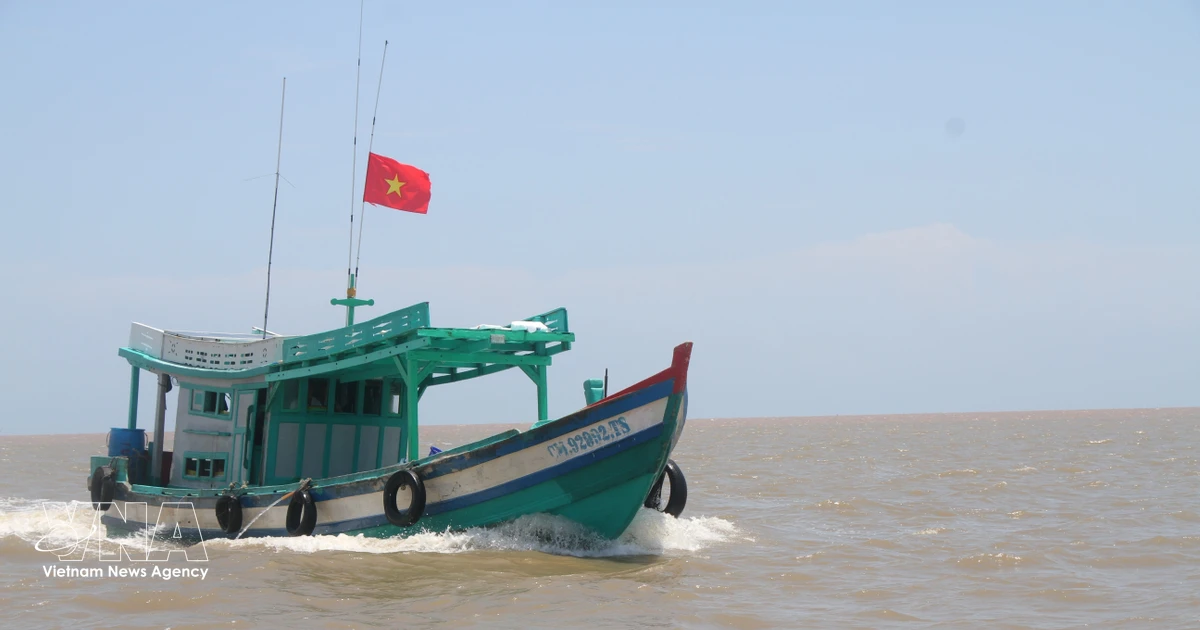 Ca Mau launches peak campaign to combat IUU fishing
