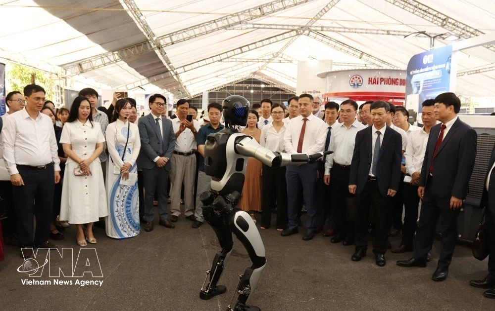 Hai Phong promotes int’l cooperation in technology transfer, business innovation