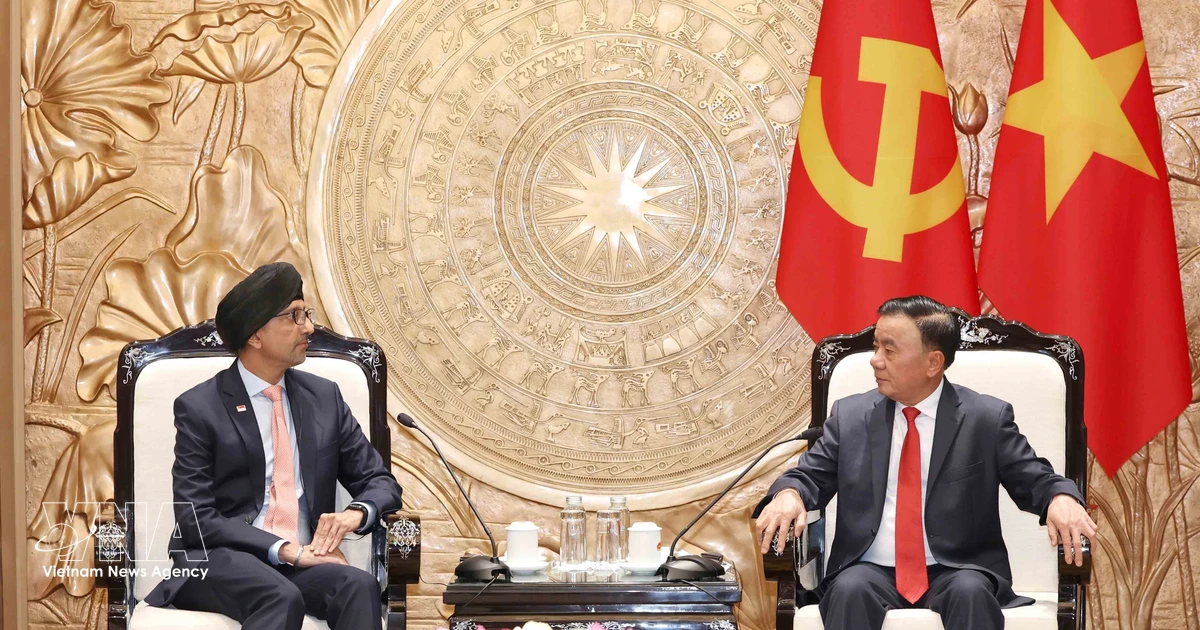 Party official calls for stronger Vietnam–Singapore cooperation