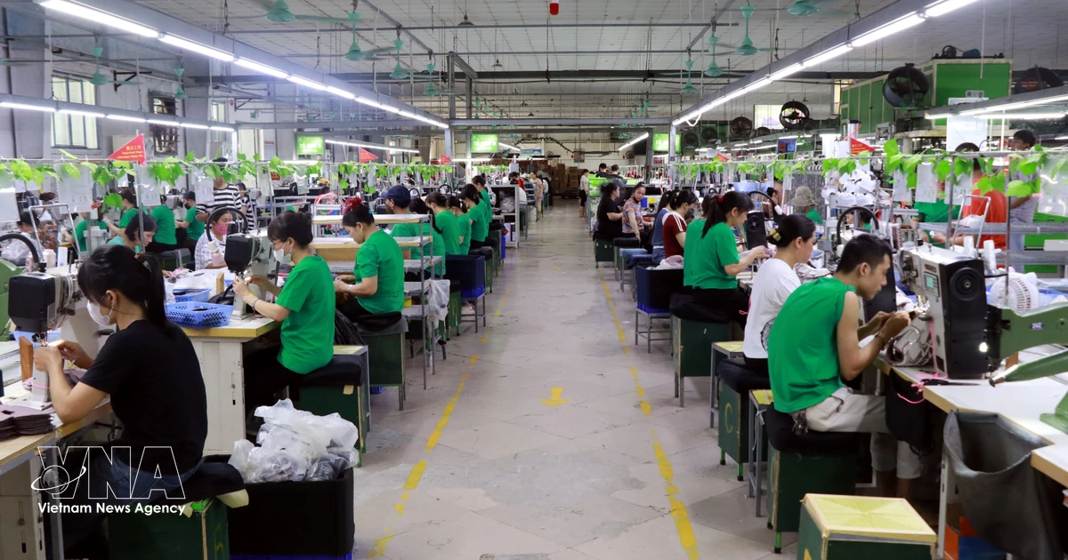 Lawmakers propose stronger safeguards for Vietnamese workers abroad