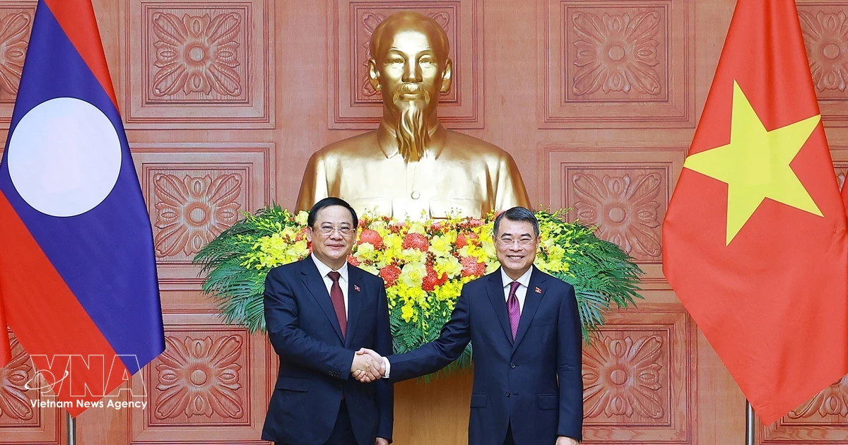 Vietnam, Laos deepen cooperation, concretise strategic cohesion