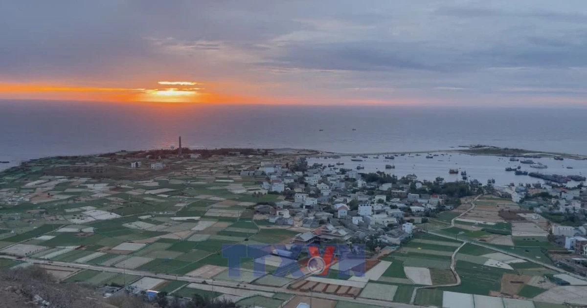 Ly Son Special Zone experiences tourism boom
