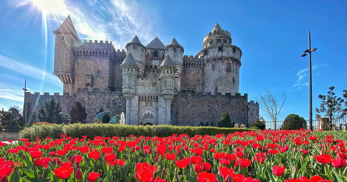 View - Sun World Ba Na Hills cultivates one mln tulips on Mountaintop for Lunar New Year | Vietnam+ (VietnamPlus)