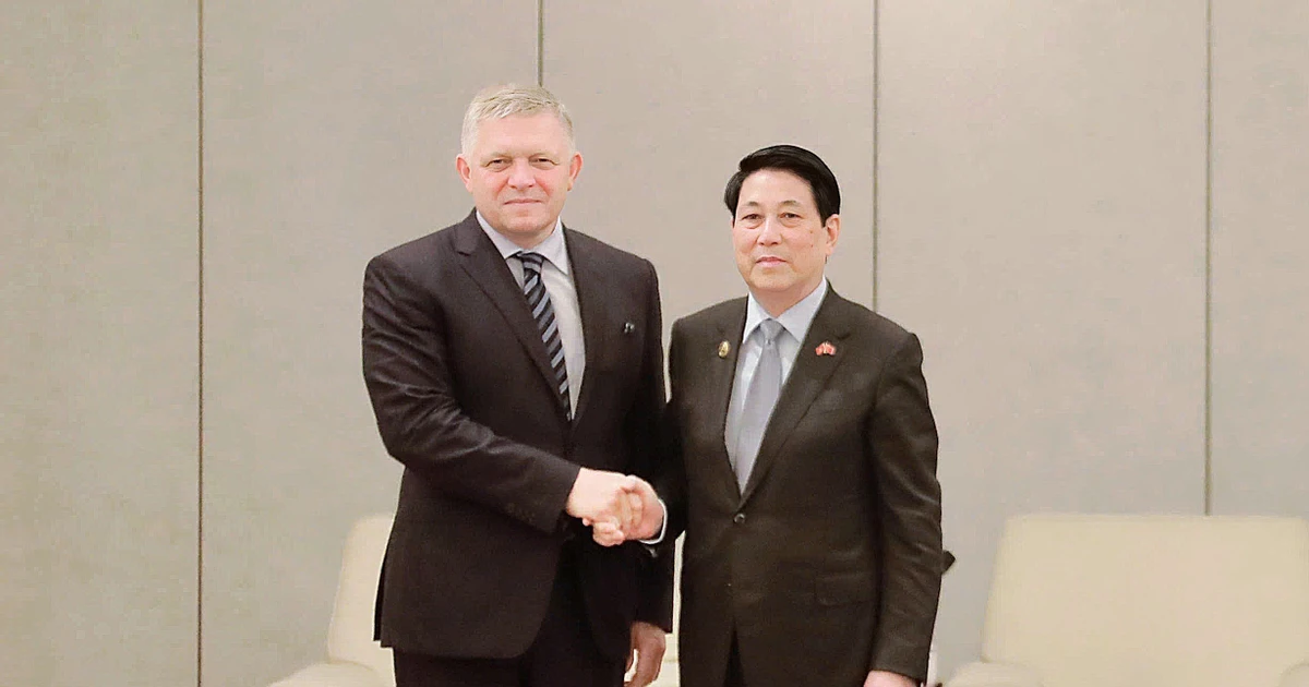 State President Luong Cuong (L) meets with Slovak Prime Minister Robert Fico on September 3. (Photo: VNA)