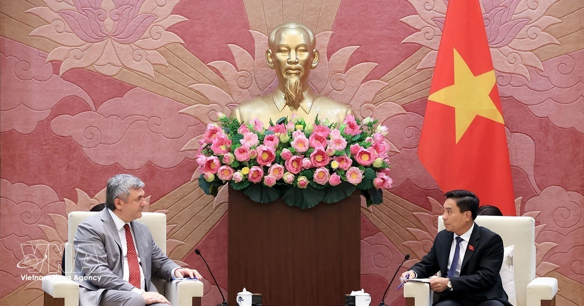 Vietnamese NA supports stronger local cooperation with Russia