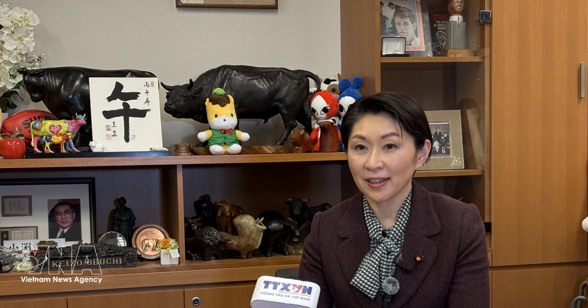 Parliamentary cooperation forms foundation of Vietnam – Japan relations