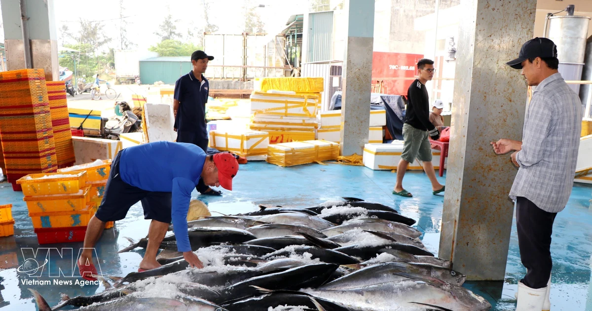 Fishermen keep pace with digital technology