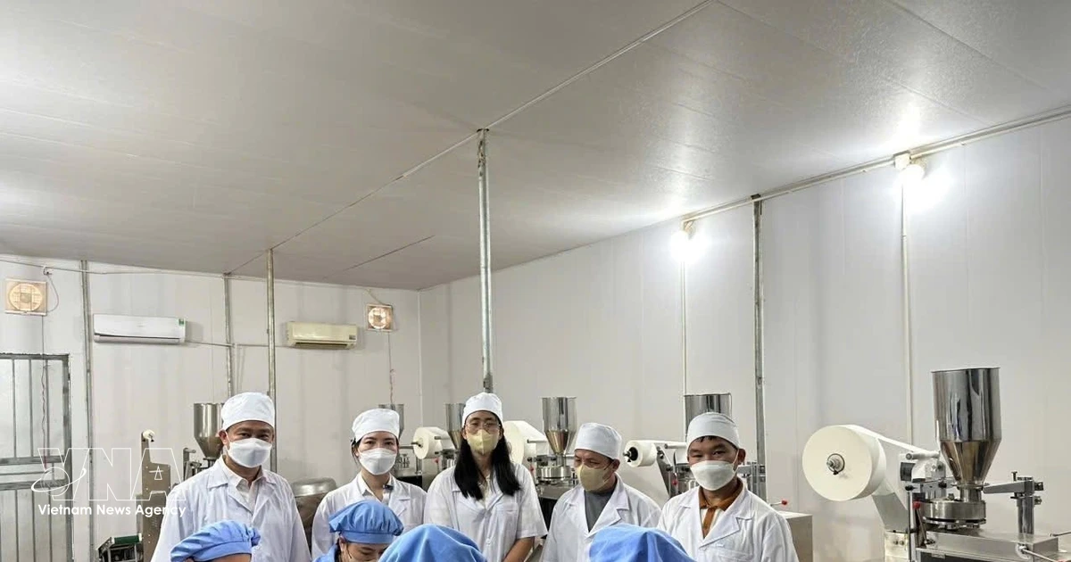 Turning Vietnam’s medicinal plants into high-value economic sector