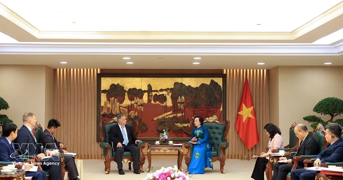 Vietnam seeks expanded US partnership in searching remains of martyrs