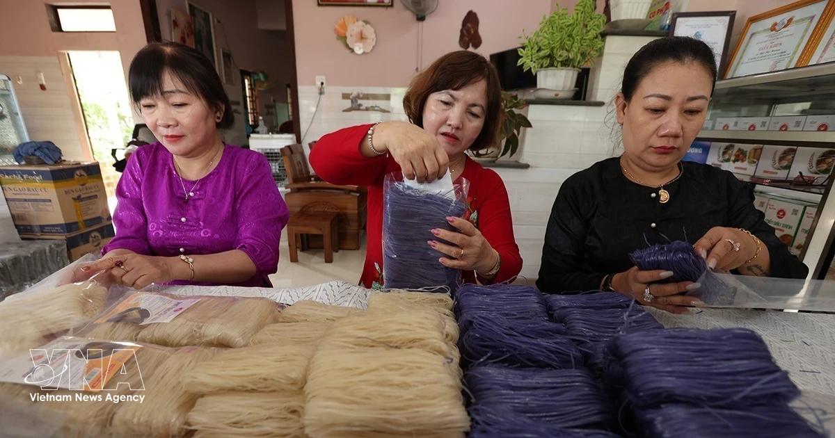 Vietnamese, Thai, Cambodian experts discuss strengthening climate-resilient livelihoods for rural older populations