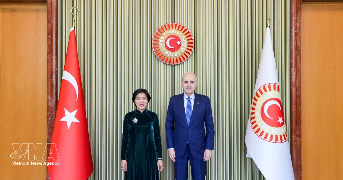 Vietnam, Türkiye strengthen parliamentary cooperation