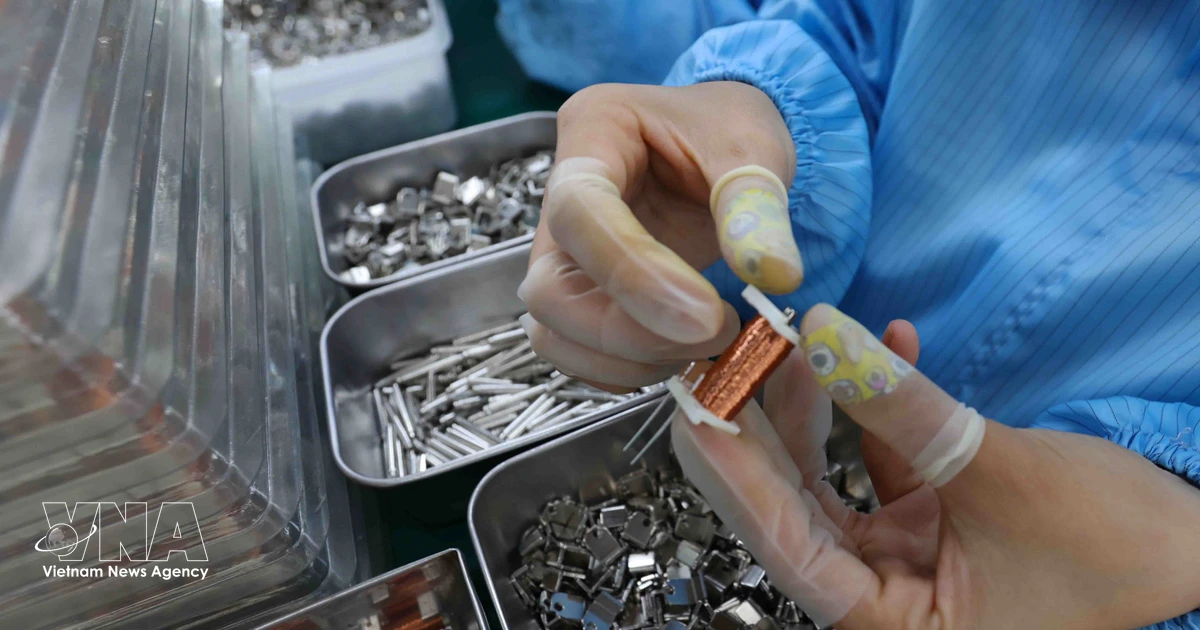 Vietnam remains bright spot for FDI inflows: Sputnik