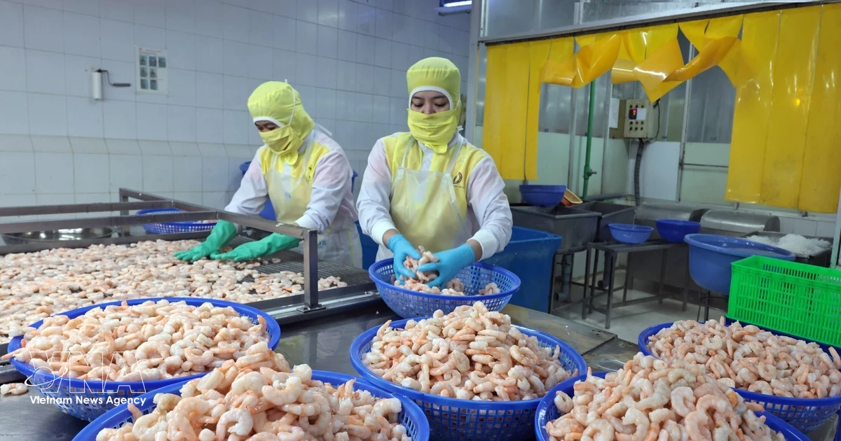 Fisheries sector proactively adjusts to emerging challenges | Vietnam+  (VietnamPlus)