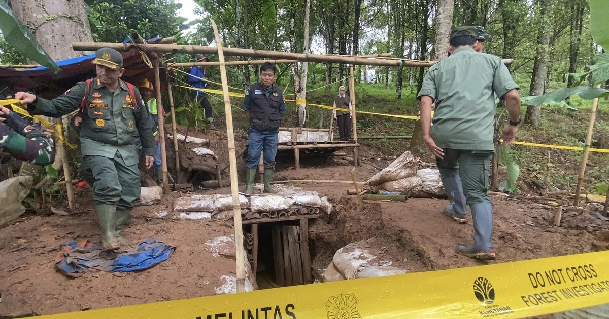 Indonesia to close some 1,400 illegal gold mines in national park