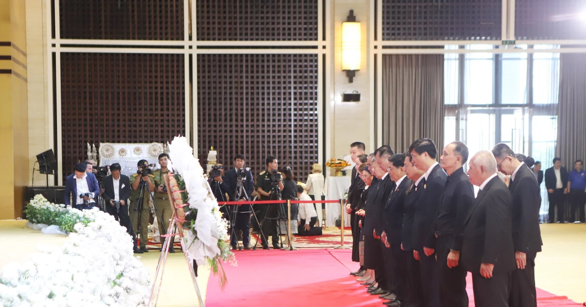 Vietnamese associations in Laos pay tribute to Lao NA President
